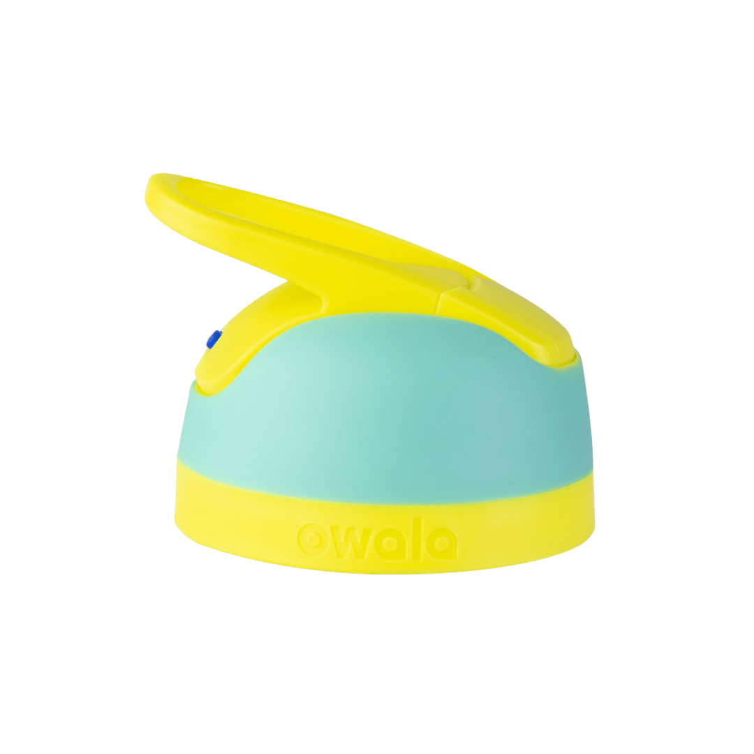 Replacement Lids (MM6S)
