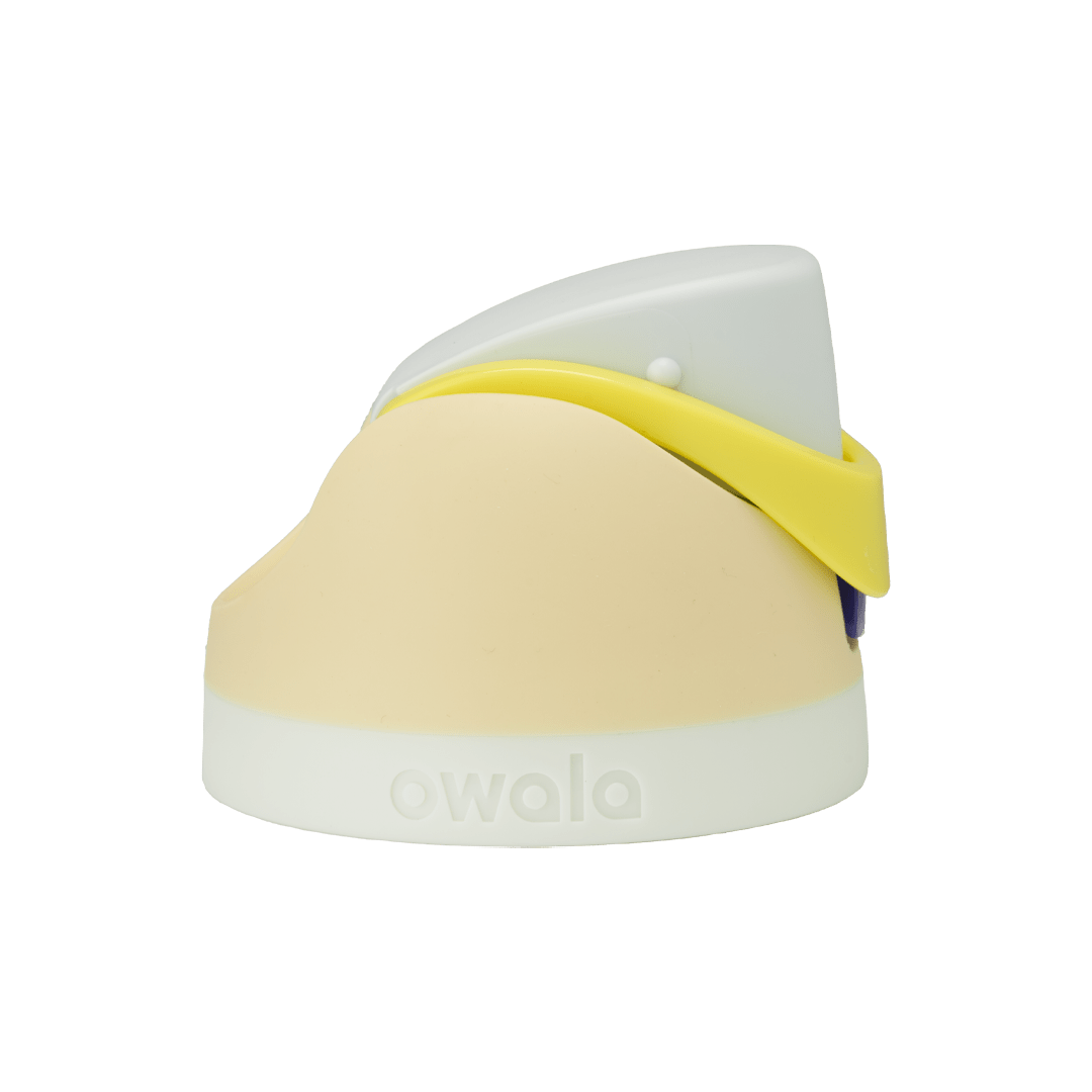 Replacement Lids (MM6S)