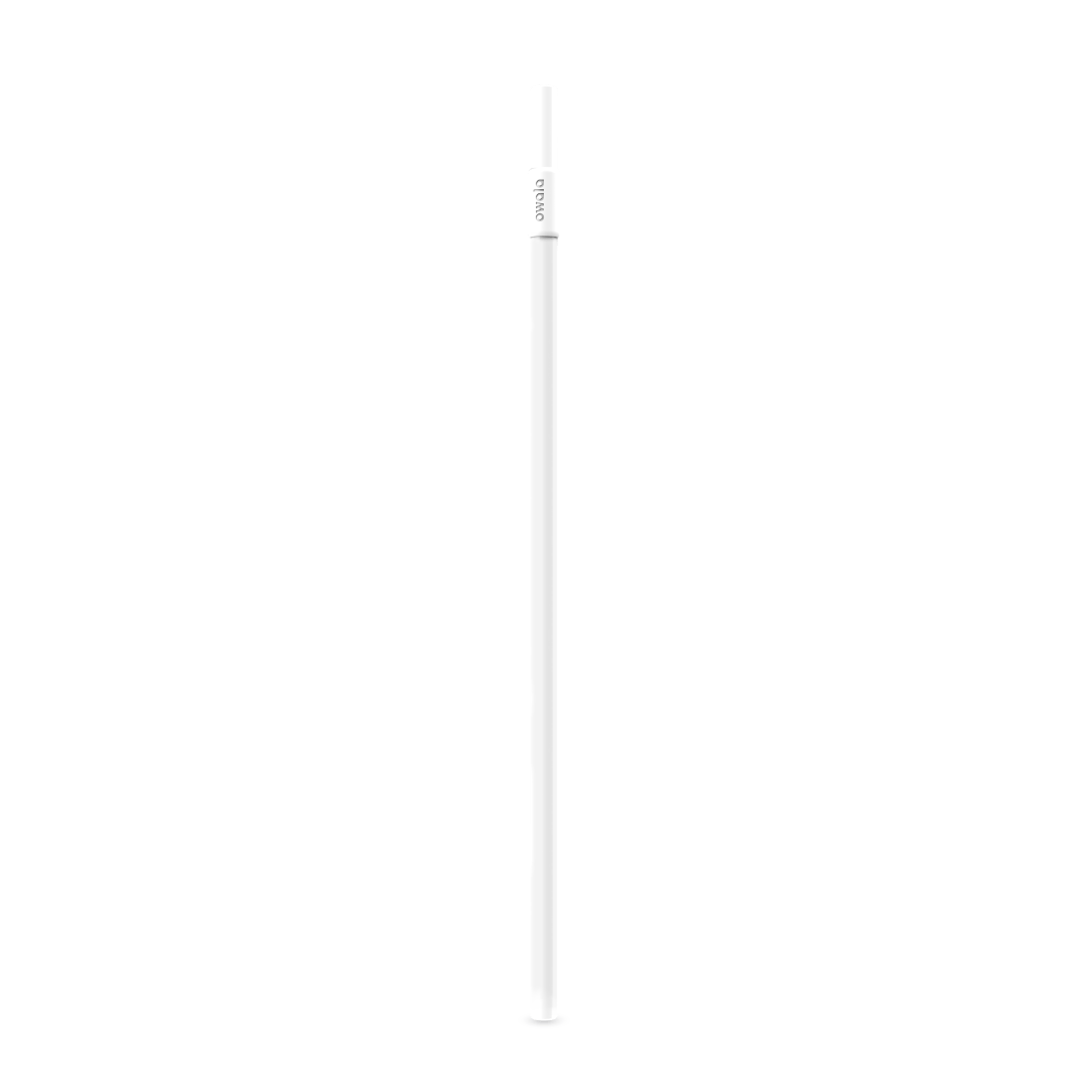 Replacement Straws (6WK2)
