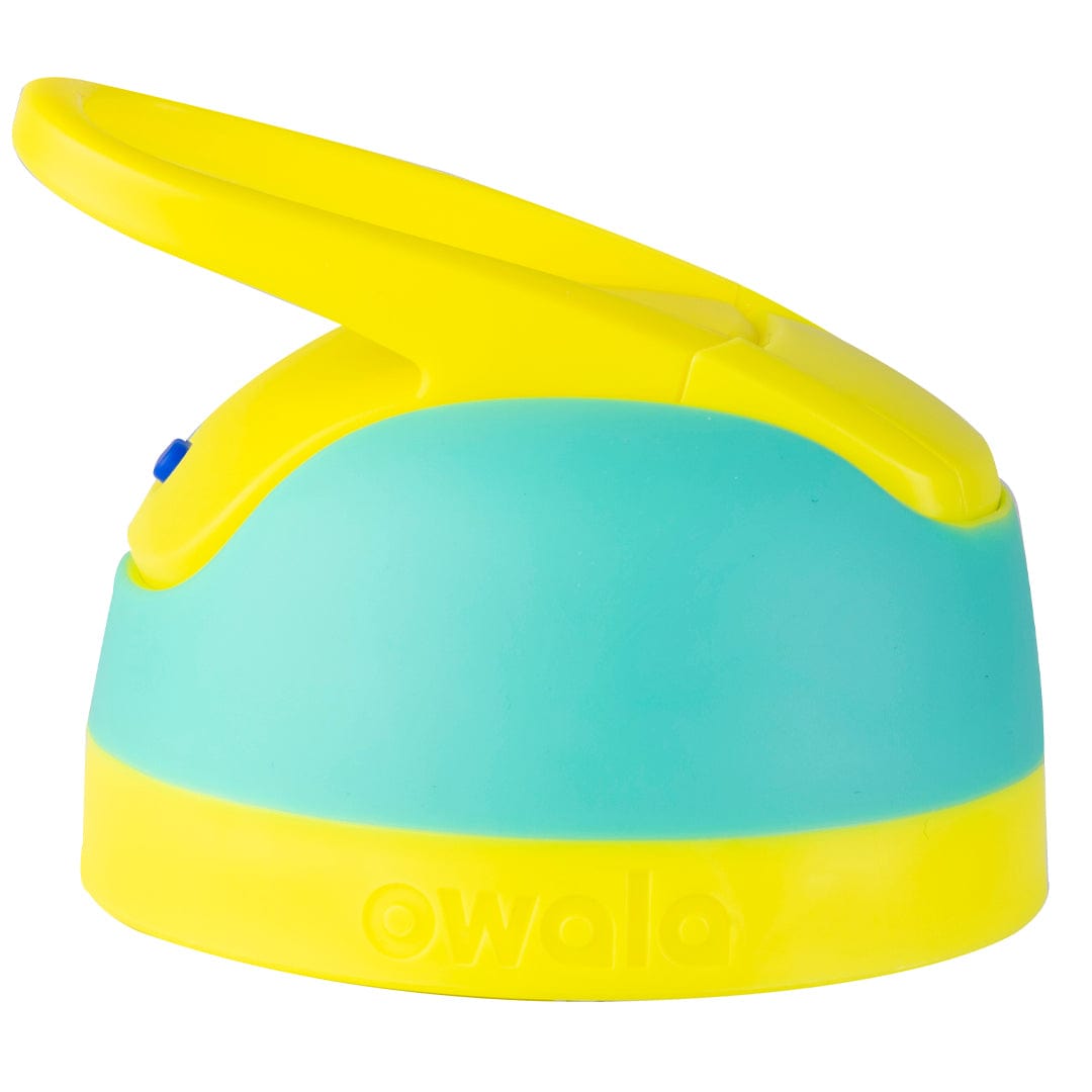 Replacement Lids (MM6S)
