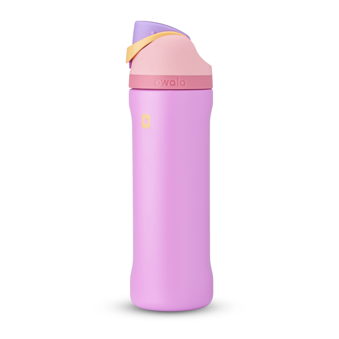 Disney Princess Collection (6RT8)