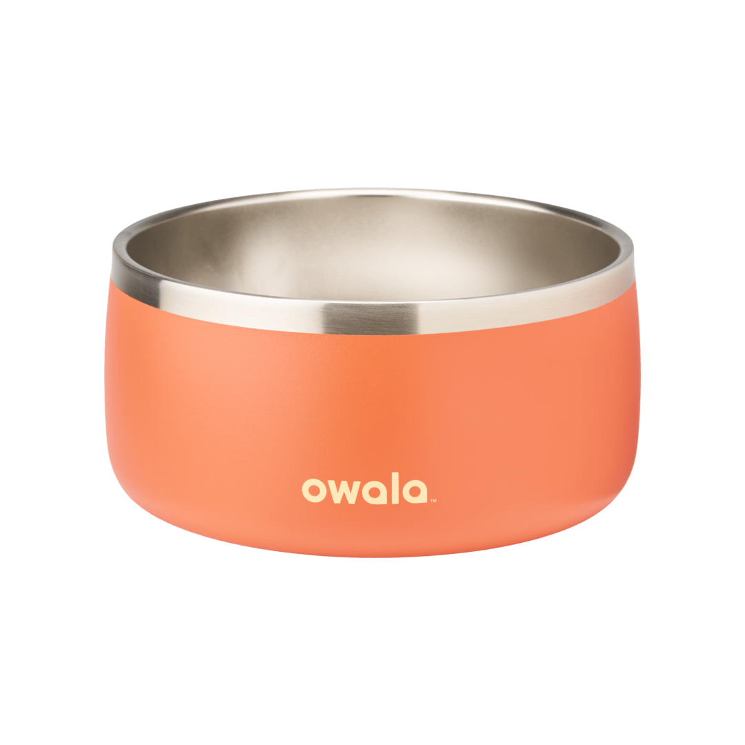 Pet Bowl (L7T4)