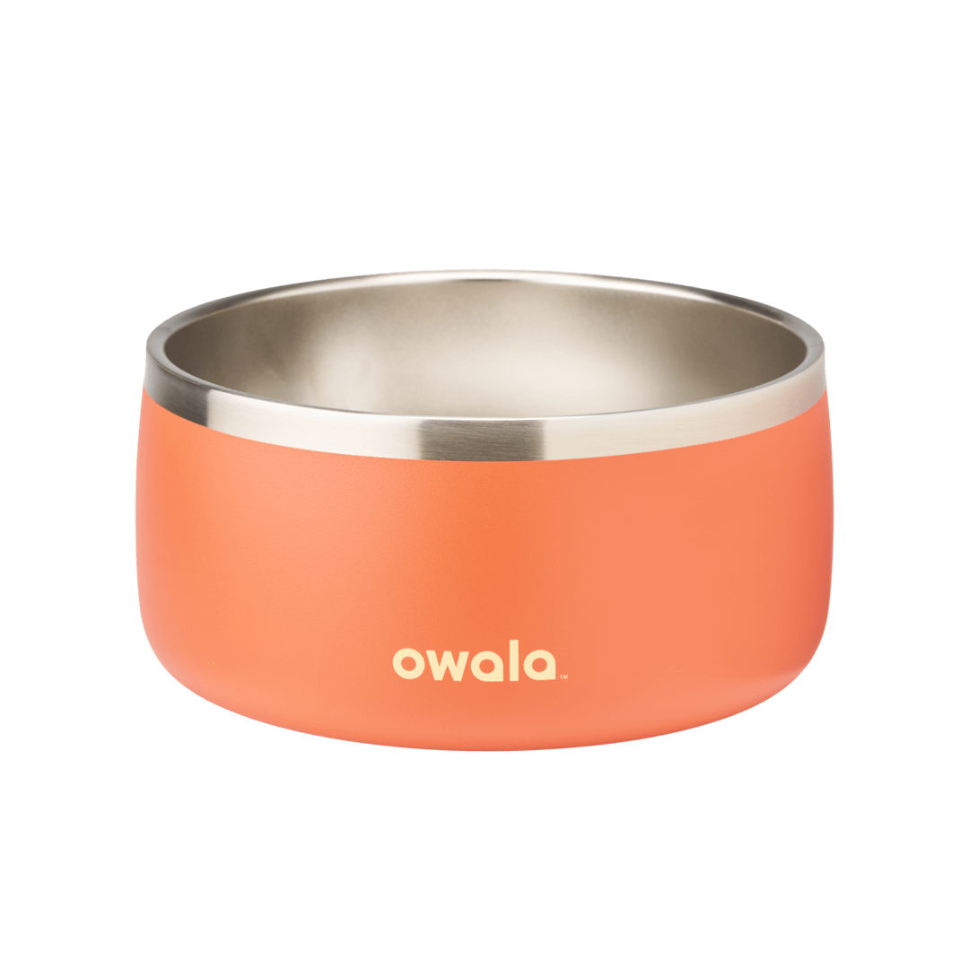 Pet Bowl (L7T4)