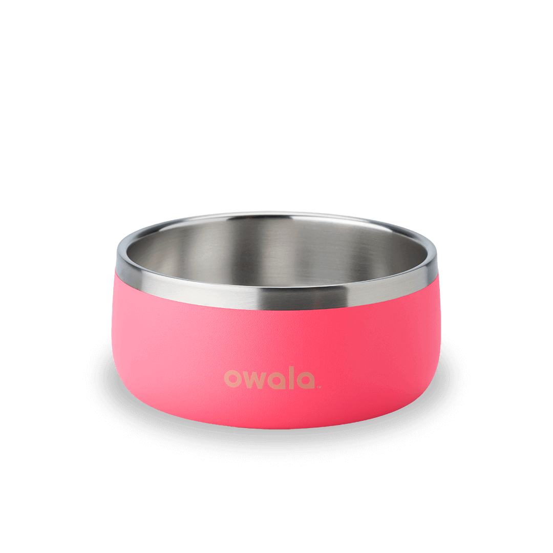 Pet Bowl (L7T4)