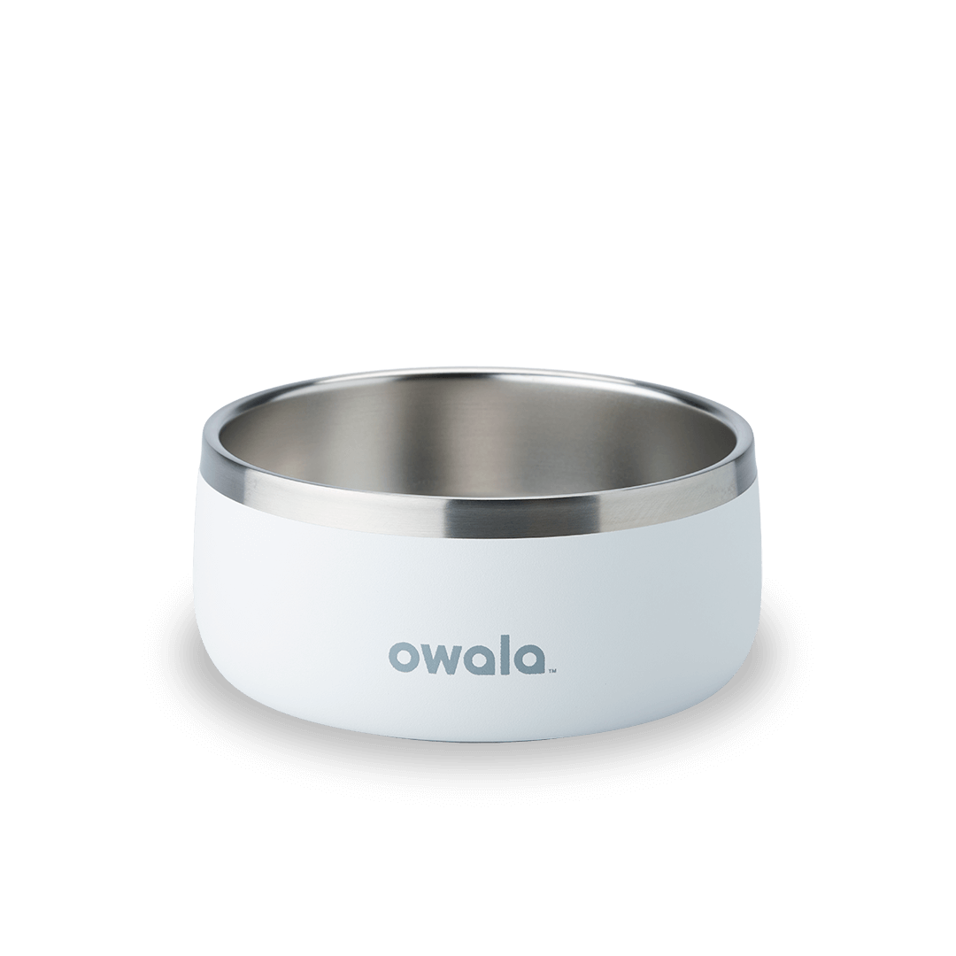 Pet Bowl (L7T4)