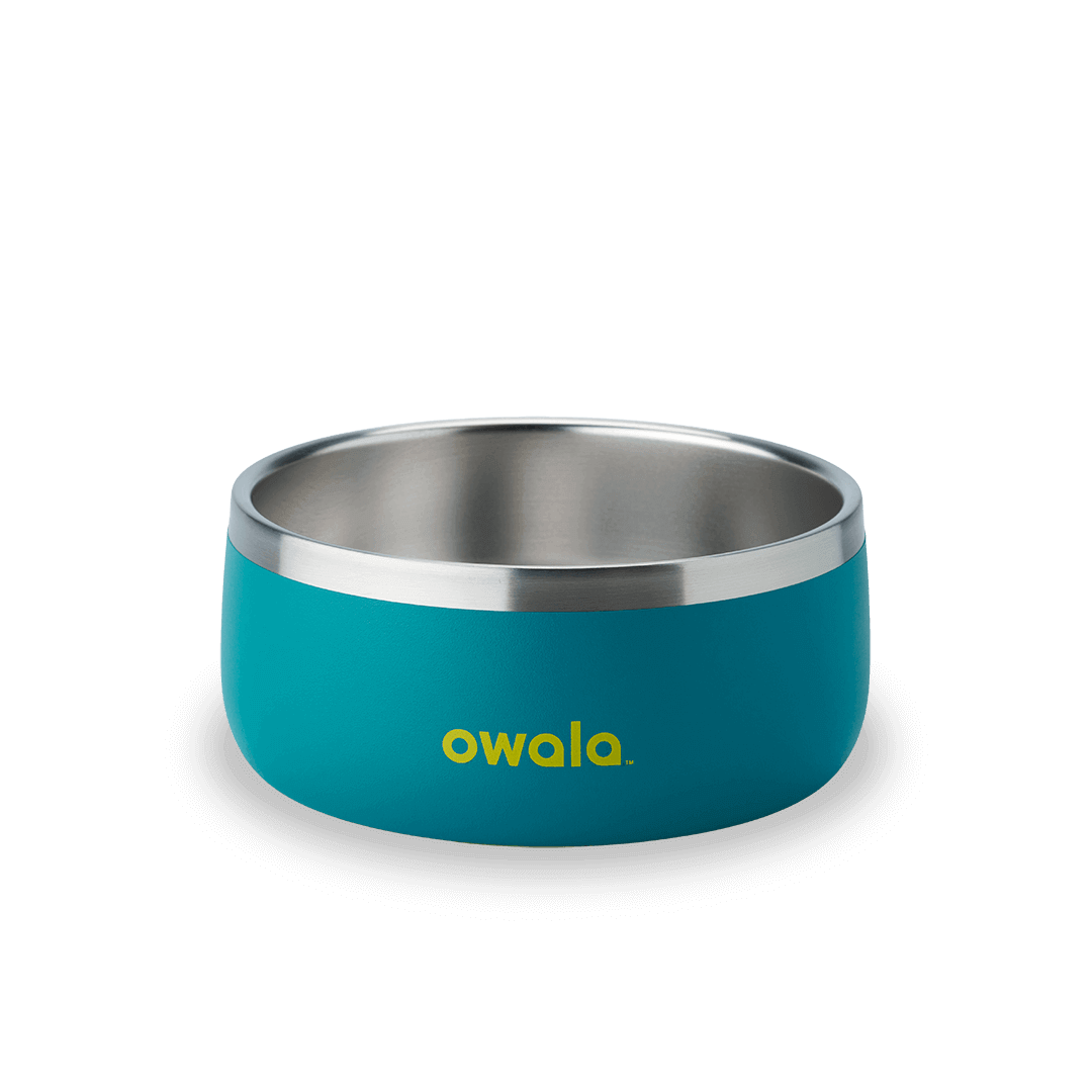 Pet Bowl (L7T4)