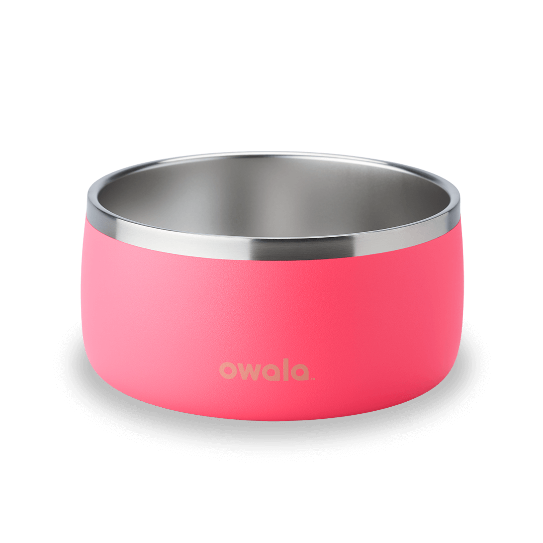 Pet Bowl (L7T4)