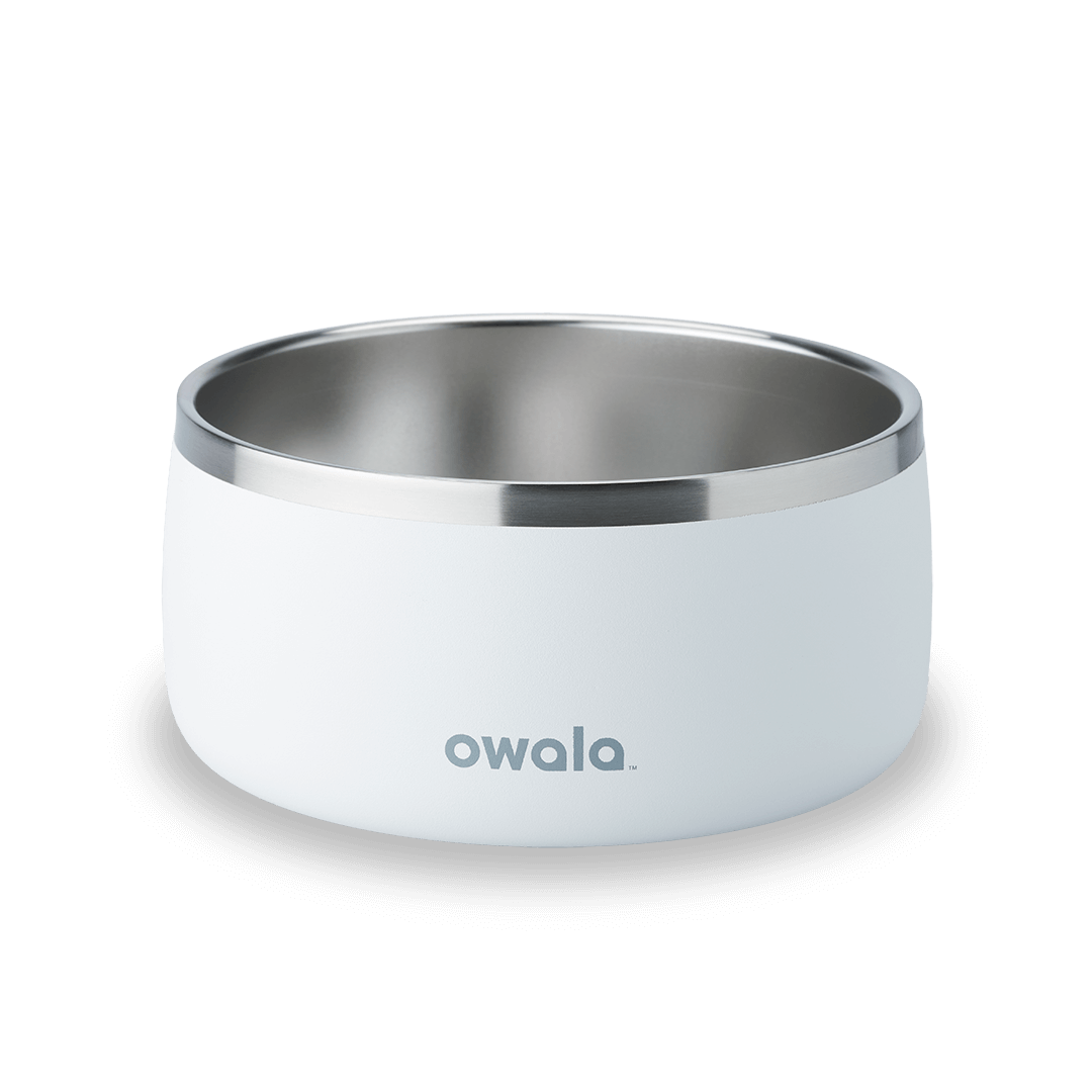 Pet Bowl (L7T4)