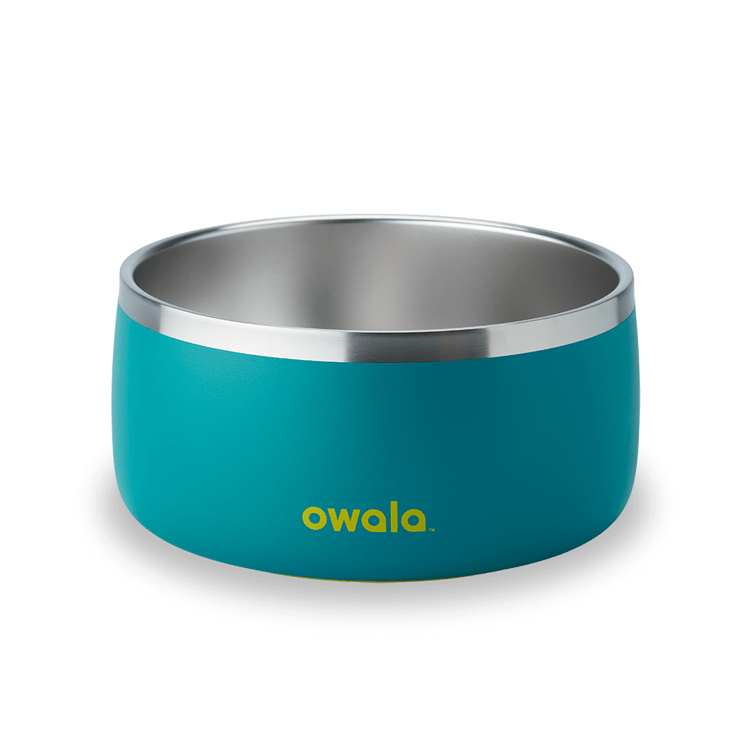 Pet Bowl (L7T4)