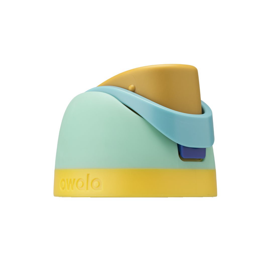 Replacement Lids (MM6S)